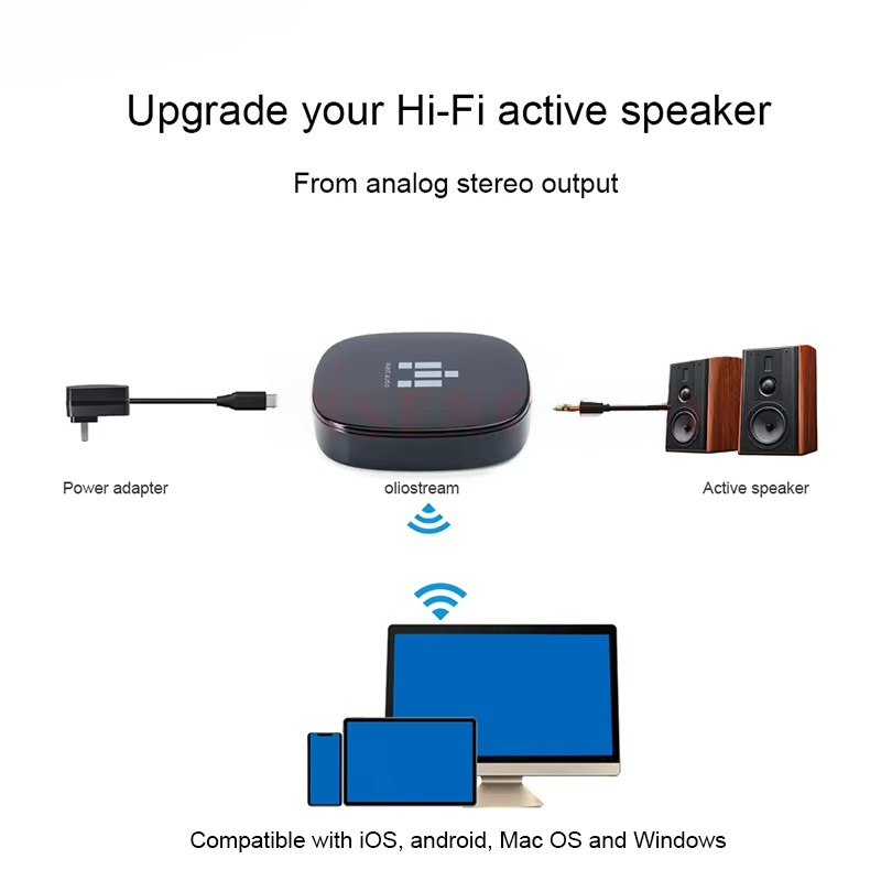 IEAST olio For DLNA Airplay 2  - Audio Music Spotify review and price